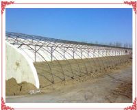 山东顺兴新型保温大棚