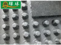 大庆蓄排水板，黑龙江塑料排水板