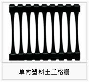 厂家直销焦作地区土工格栅  质优价廉 规格全