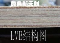 12厘全杨木LVB 胶合板