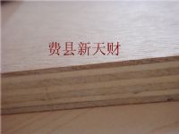 供应CARBP2桦木/松木/奥古曼家具板